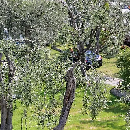 Κάμπινγκ Monja Brenzone sul Garda